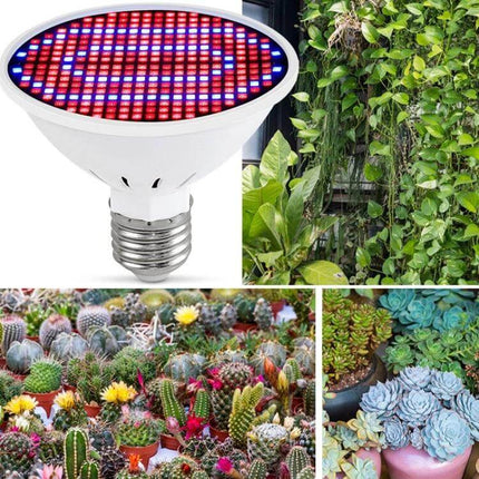 Led Plant Growth Lamp Floral Fill Light Indoor Use compact PC-aluminum bulb with red and blue LEDs over windowsill succulents and cacti