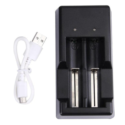 Universal USB Charger for 1.2V and 3.7V Rechargeable Batteries - compact dual-slot USB battery charger with micro-USB cable