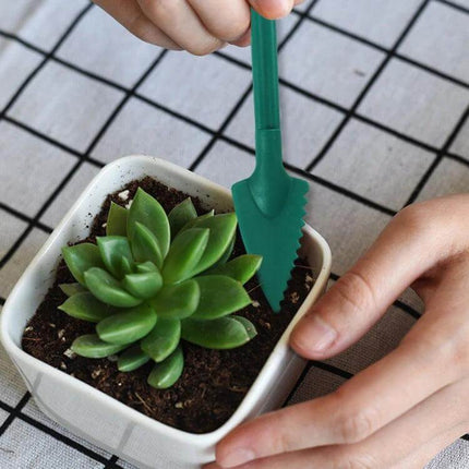 Large Seedling Remover Set for Potting and Transplanting - dual-tool hole punch and spreading spoon used to transplant a succulent in a small pot