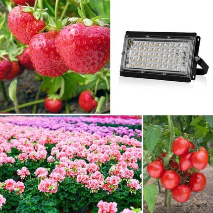 LED Plant Light Full Spectrum Growth Lamp, 144 Beads illuminating strawberries, tomatoes and flowering plants for indoor growth
