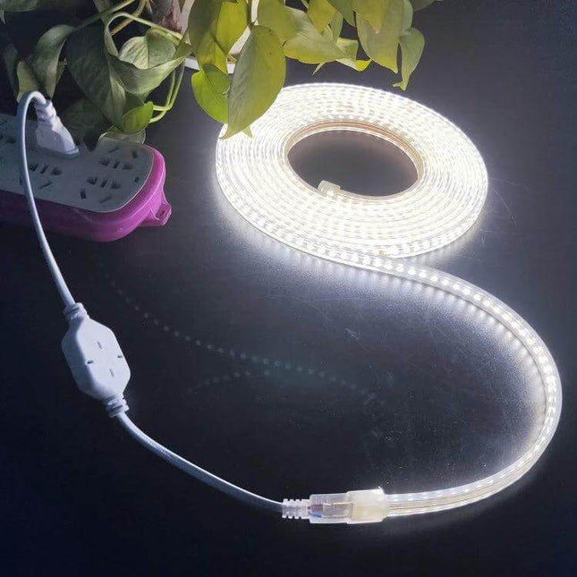 LED Strip Light 10m for Home Decor, EU Plug, General Use glowing 10m reel installed under shelf with EU plug and high-density LEDs