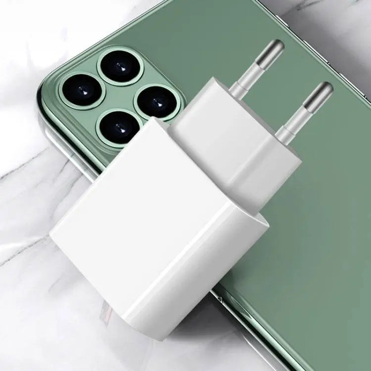 M117 2.4A Single USB Port Flash Charger Travel Charger EU Plug