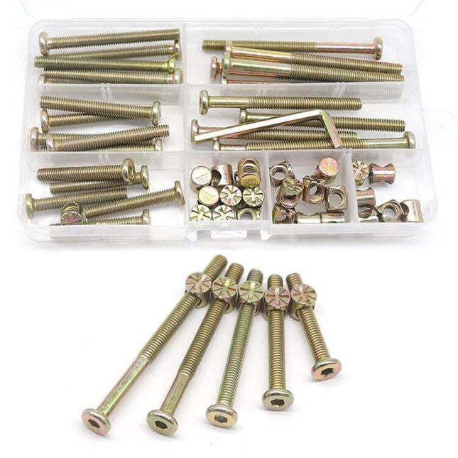 M6 Colored Zinc Round Head Hex Socket Screws Set 50 Pcs in plastic organizer for furniture assembly and DIY bed frame repairs