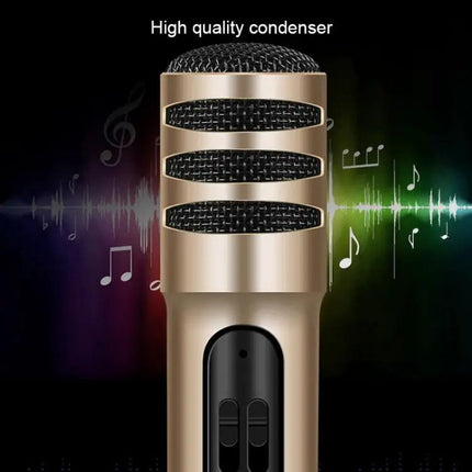 Compact Microphone for Home Karaoke and Daily Singing Practice