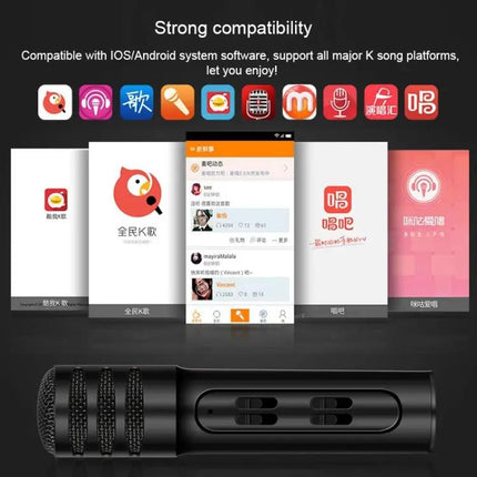 Compact Microphone for Home Karaoke and Daily Singing Practice