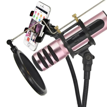 Compact Microphone for Home Karaoke and Daily Singing Practice