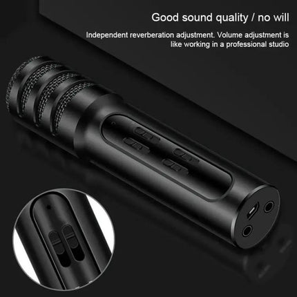 Compact Microphone for Home Karaoke and Daily Singing Practice