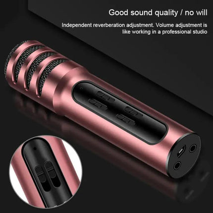 Compact Microphone for Home Karaoke and Daily Singing Practice