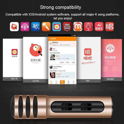 Compact Microphone for Home Karaoke and Daily Singing Practice
