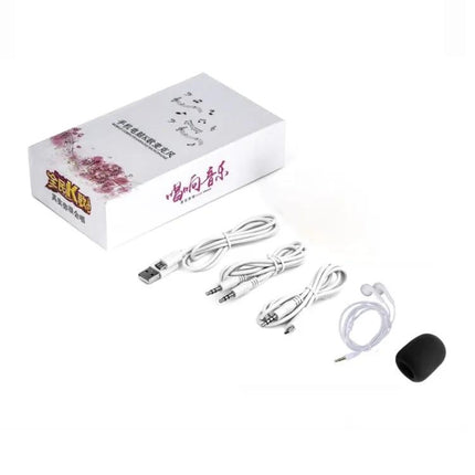 Compact Microphone for Home Karaoke and Daily Singing Practice