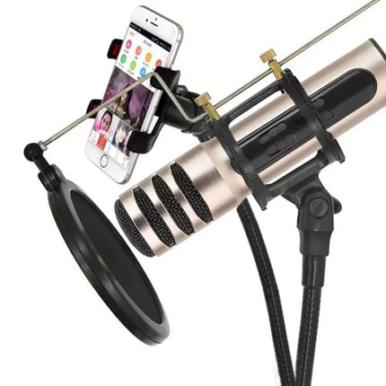 Compact Microphone for Home Karaoke and Daily Singing Practice