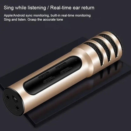 Compact Microphone for Home Karaoke and Daily Singing Practice