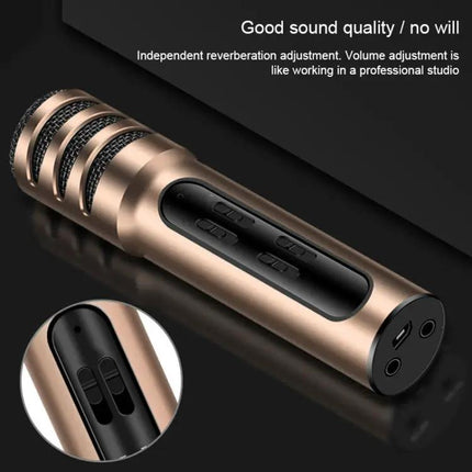 Compact Microphone for Home Karaoke and Daily Singing Practice