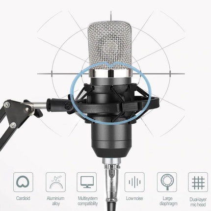 Condenser Microphone for Daily Home Recordings and Calls — shockproof mount studio mic for clear podcasting and online meetings