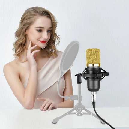 Condenser Microphone for Daily Home Recordings and Calls - gold condenser mic with shockproof mount and pop filter used by woman at home