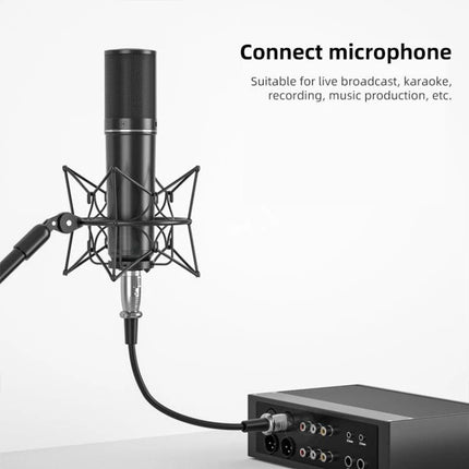 Ideal Cable for Connecting Microphones in Daily Setups — XLR cable linking studio condenser mic to audio interface for podcasting, recording, and live use