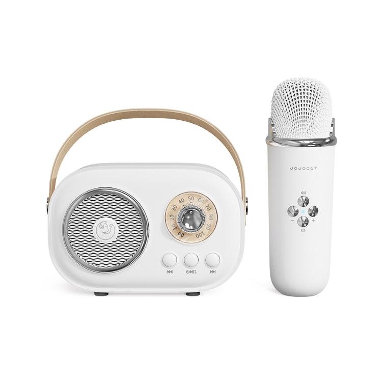 C20 Plus All-in-One Karaoke Bluetooth Speaker with Wireless Microphone White