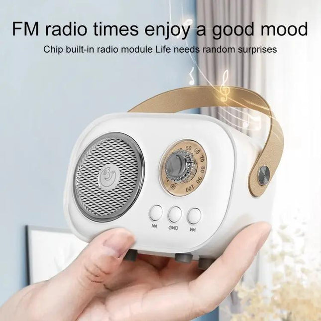 Enceinte Bluetooth pour les réunions à la maison et l'écoute quotidienne de musique