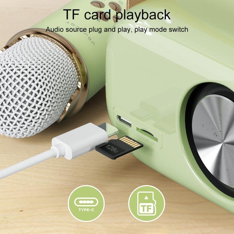 C20 Plus All-in-One Karaoke Bluetooth Speaker with Wireless Microphone