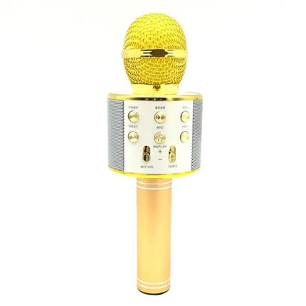 Condenser Microphone for Everyday Home Recording Sessions