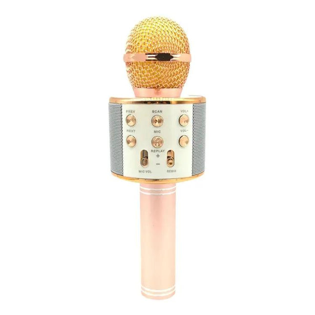 Condenser Microphone for Everyday Home Recording Sessions