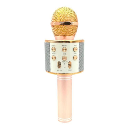 Condenser Microphone for Everyday Home Recording Sessions