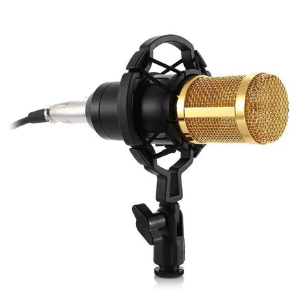 Condenser Microphone Kit for Home Recording and Online Chats
