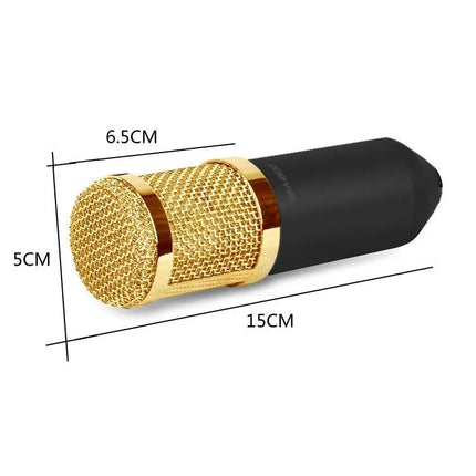 Condenser Microphone Kit for Home Recording and Online Chats