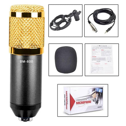 Condenser Microphone Kit for Home Recording and Online Chats