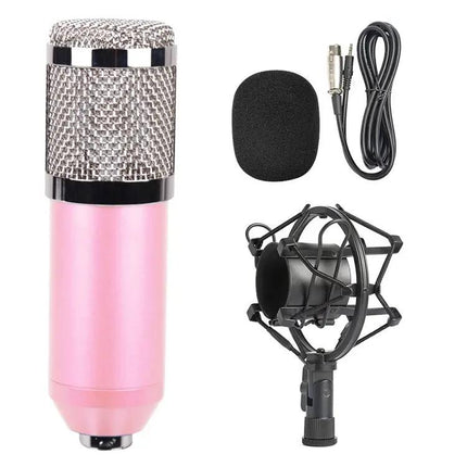 Condenser Microphone Kit for Home Recording and Online Chats