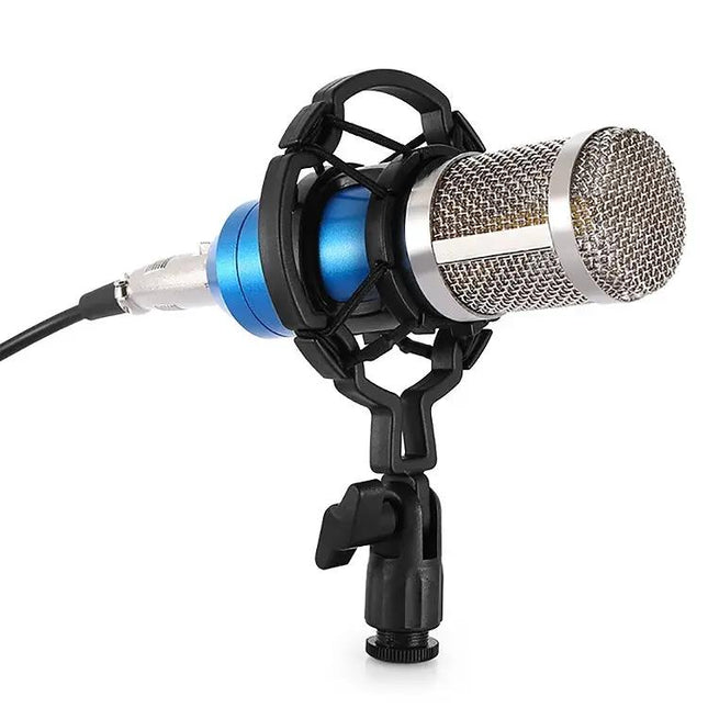 Condenser Microphone Kit for Home Recording and Online Chats