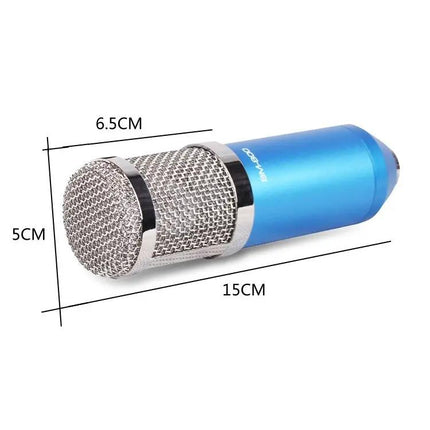 Condenser Microphone Kit for Home Recording and Online Chats