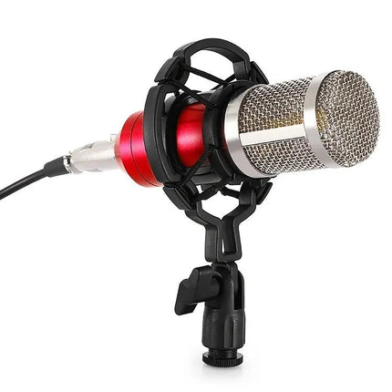 Condenser Microphone Kit for Home Recording and Online Chats