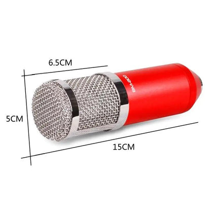 Condenser Microphone Kit for Home Recording and Online Chats
