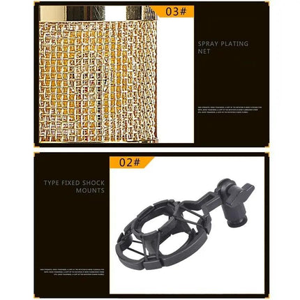Condenser Microphone Kit for Home Recording and Online Chats