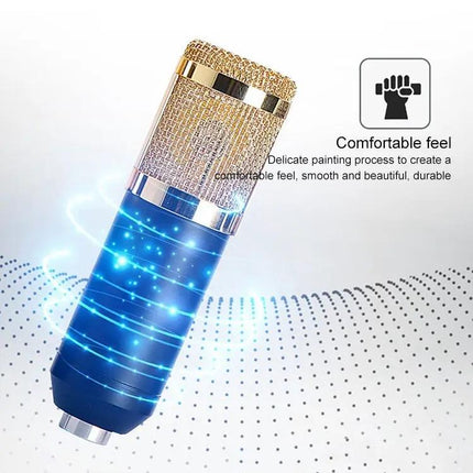 Condenser Microphone Kit for Home Recording and Online Chats