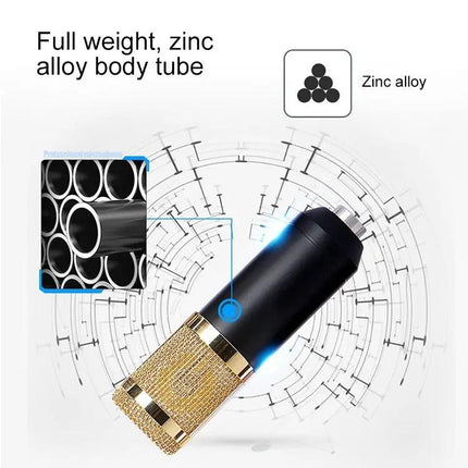 Condenser Microphone Kit for Home Recording and Online Chats