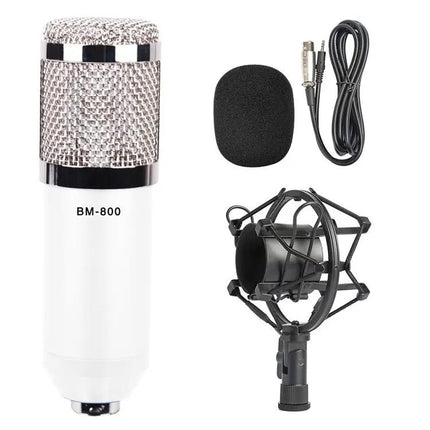 Condenser Microphone Kit for Home Recording and Online Chats