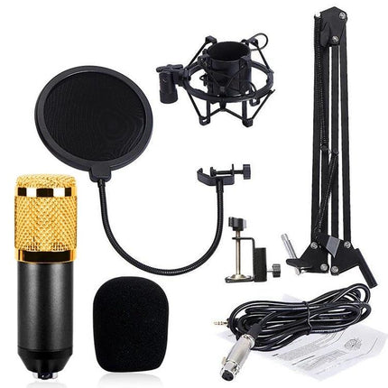Essential Microphone Kit for Everyday Home Audio Recording - BM-800 microphone kit with shock mount, pop filter, scissor arm stand and cables