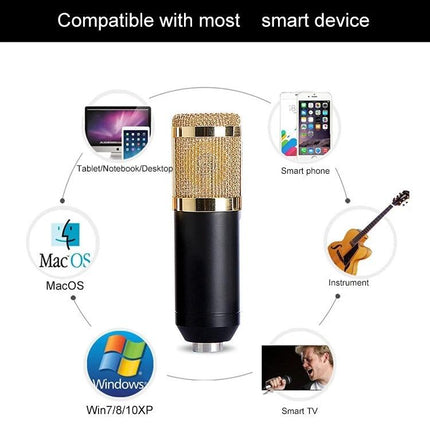 Essential Microphone Kit for Everyday Home Audio Recording - BM-800 condenser mic kit with stand, pop filter, shock mount for podcasting and acoustic instruments