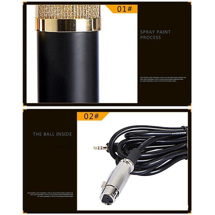 Essential Microphone Kit for Everyday Home Audio Recording — BM-800, shock mount, pop filter, scissor arm stand, foam cap and power cable