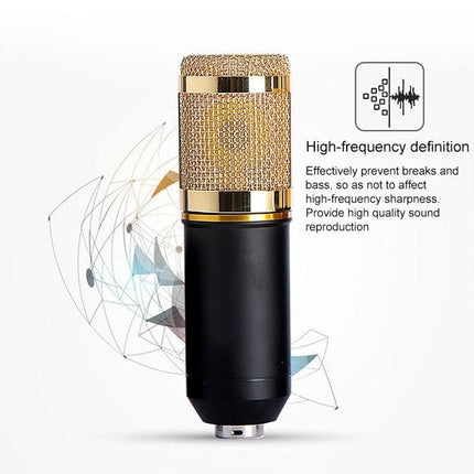 Essential Microphone Kit for Everyday Home Audio Recording - BM-800 condenser mic with gold grille, shock mount, pop filter and scissor arm for clear vocals and instruments