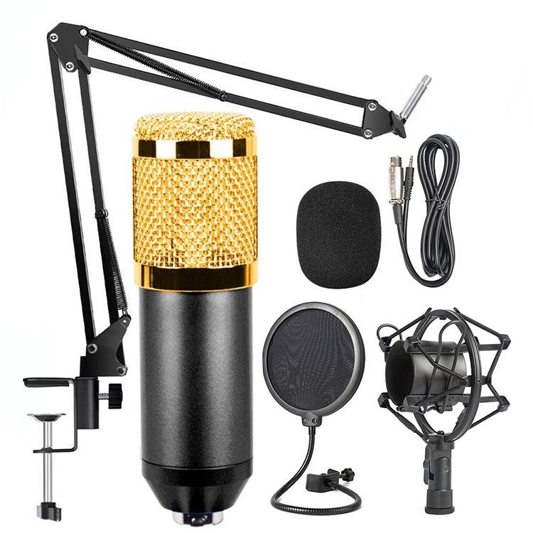 BM-800 Professional Studio Microphone Kit with Shock Mount and Accessories