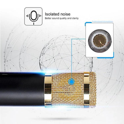 Essential Microphone Kit for Everyday Home Audio Recording - BM-800 gold mesh condenser close-up with shock mount and pop filter accessories