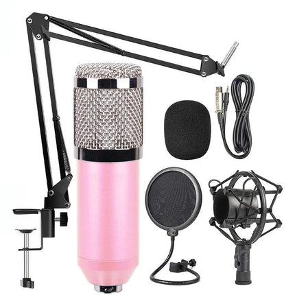 Essential Microphone Kit for Everyday Home Audio Recording with pink BM-800 mic, shock mount, pop filter, scissor arm, foam cap and cable