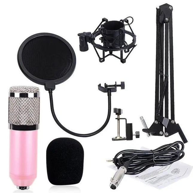 Essential Microphone Kit for Everyday Home Audio Recording