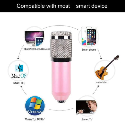 Essential Microphone Kit for Everyday Home Audio Recording