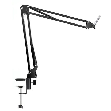 Essential Microphone Kit for Everyday Home Audio Recording