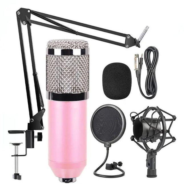 Essential Microphone Kit for Everyday Home Audio Recording