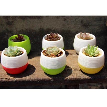 Mini Round Plastic Plant Pot With Water Tank For Home And Office Decor - colorful small succulents on desk